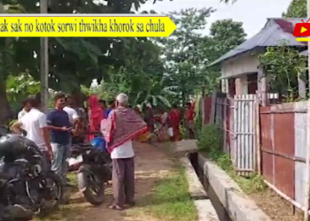 Sak sak no kotok sorwi thwikha khorok sa chwla.
