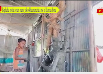 Bupha bai mwtai swnam manio yak rwkha umar chuku bisi ni khorosa chwrai