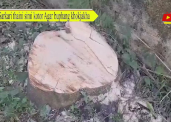 Sarkari thaini simi kotor Agar buphang khokjakha