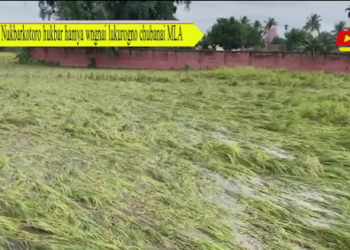 Nukbarkotoro hukbar hamya wngnai lukurogno chubanai MLA