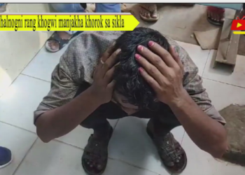 Phalnogni rang khogwi manjakha khorok sa sikla