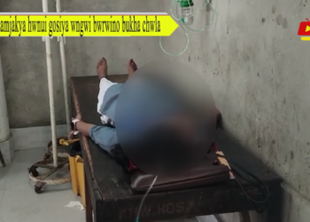 Hamjakya hwnui gosiya wngwi bwrwino bukha chwla