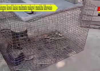 Amingno kosol kaisa malmata nukgwi mankha khowaio