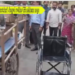 Wheel chair’s tei stretcher’s bagwi rwkha GB.sakham nogo