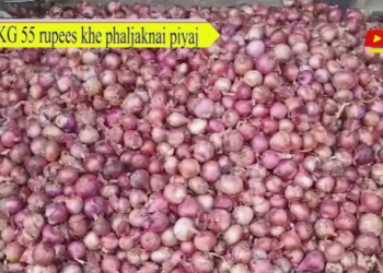 KG 55 rupees khe phaljaknai piyaj