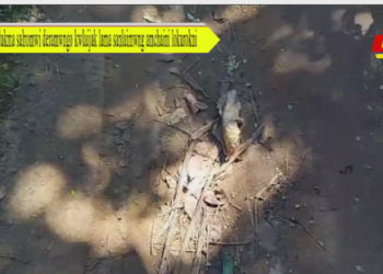 Kwdukma salromwi deramwngo kwlaijak lama sanlaimwng amchaini lokurokni