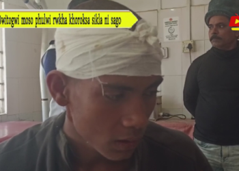 Bwitogwi moso phulwi rwkha khoroksa sikla ni sago