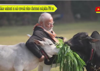 Makar sankranti ni salo mwsuk rokno charimani nukjakha PM no