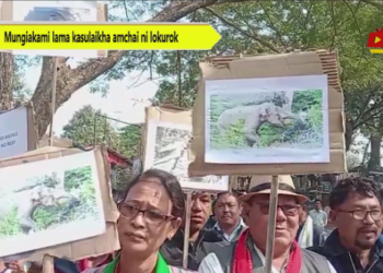Mungiakami ni lama kasulaikha amchai ni lokurok