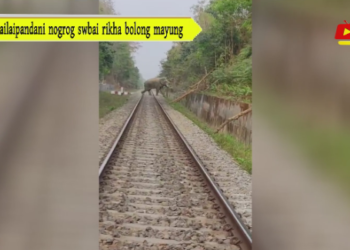 Kailaipandani nogrog swbai rikha bolong mayung