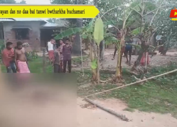 Narayan das no daa bai tanwi bwtharkha buchamari