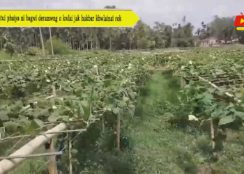 Watui phaiya ni bagwi deramwng o kwlai jak hukbar khwlainai rok