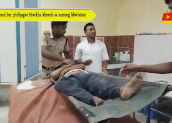 Plywood bai phobjagwi thwikha khorok sa samung khwlainai