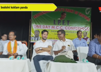 IPFT bodolni koklam panda