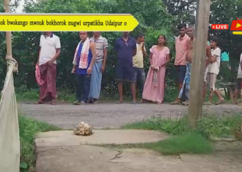 Nok bwskango mwsuk bokhorok nugwi urpatikha Udaipur o