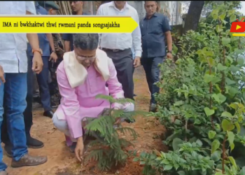 IMA ni bwkhaktwi thwi rwmani panda songsajakha