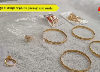 Aguli ni khungsa rangchak ni phal nogo sikok akarkha