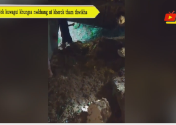 Nok kuwagui khungsa nwkhung ni khorok tham thwikha